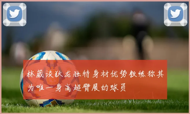 林葳谈狄龙独特身材优势教练称其为唯一身高超臂展的球员